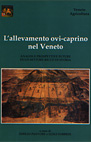 Le origini del diritto nell'economia